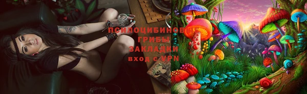 гашиш Новодвинск