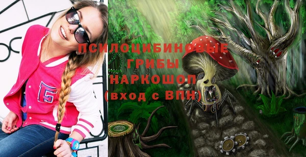 jwh Новозыбков