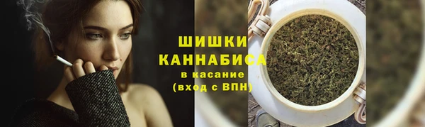 соль ск Новокубанск