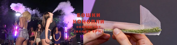 шишки Елабуга