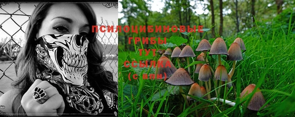 jwh Новозыбков