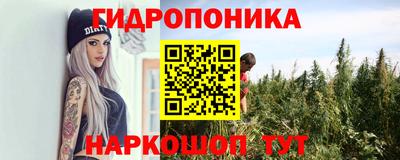 СК Кандалакша