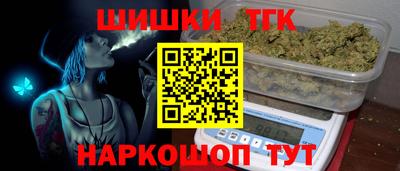 МДПВ Камышлов