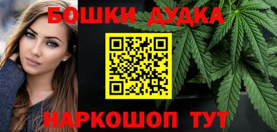 МДПВ Камышлов