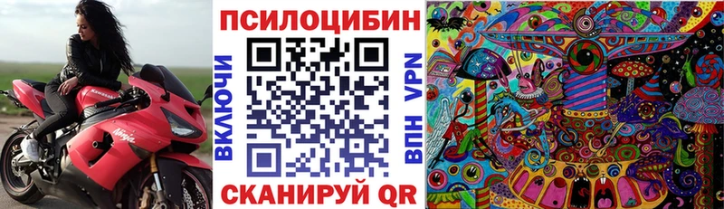 Псилоцибиновые грибы мицелий  kraken ссылки  Морозовск 