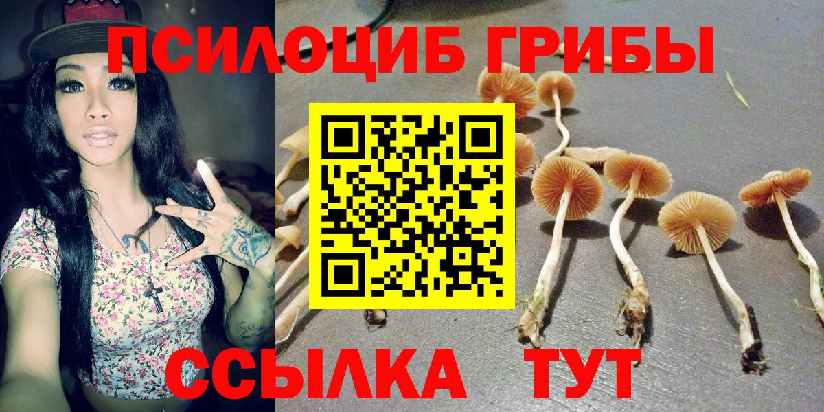 Псилоцибиновые грибы GOLDEN TEACHER Морозовск